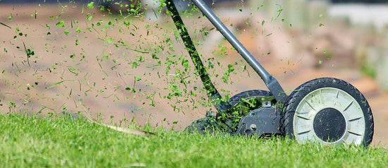 Grass clippings in air behind lawn mower