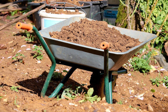 Garden soil in wheelbarrow