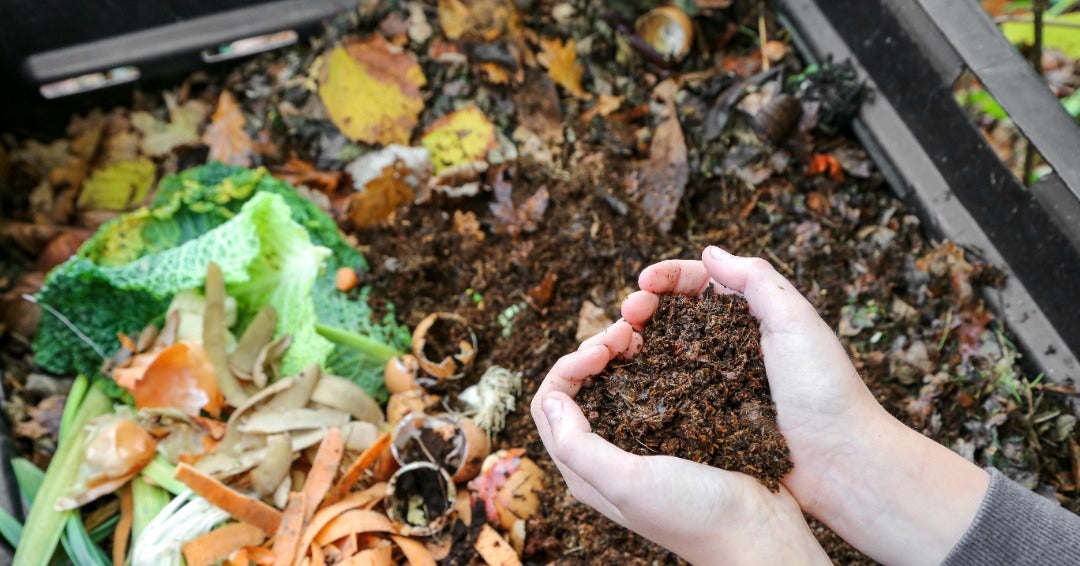 How to compost at home: Rich soil for gardening