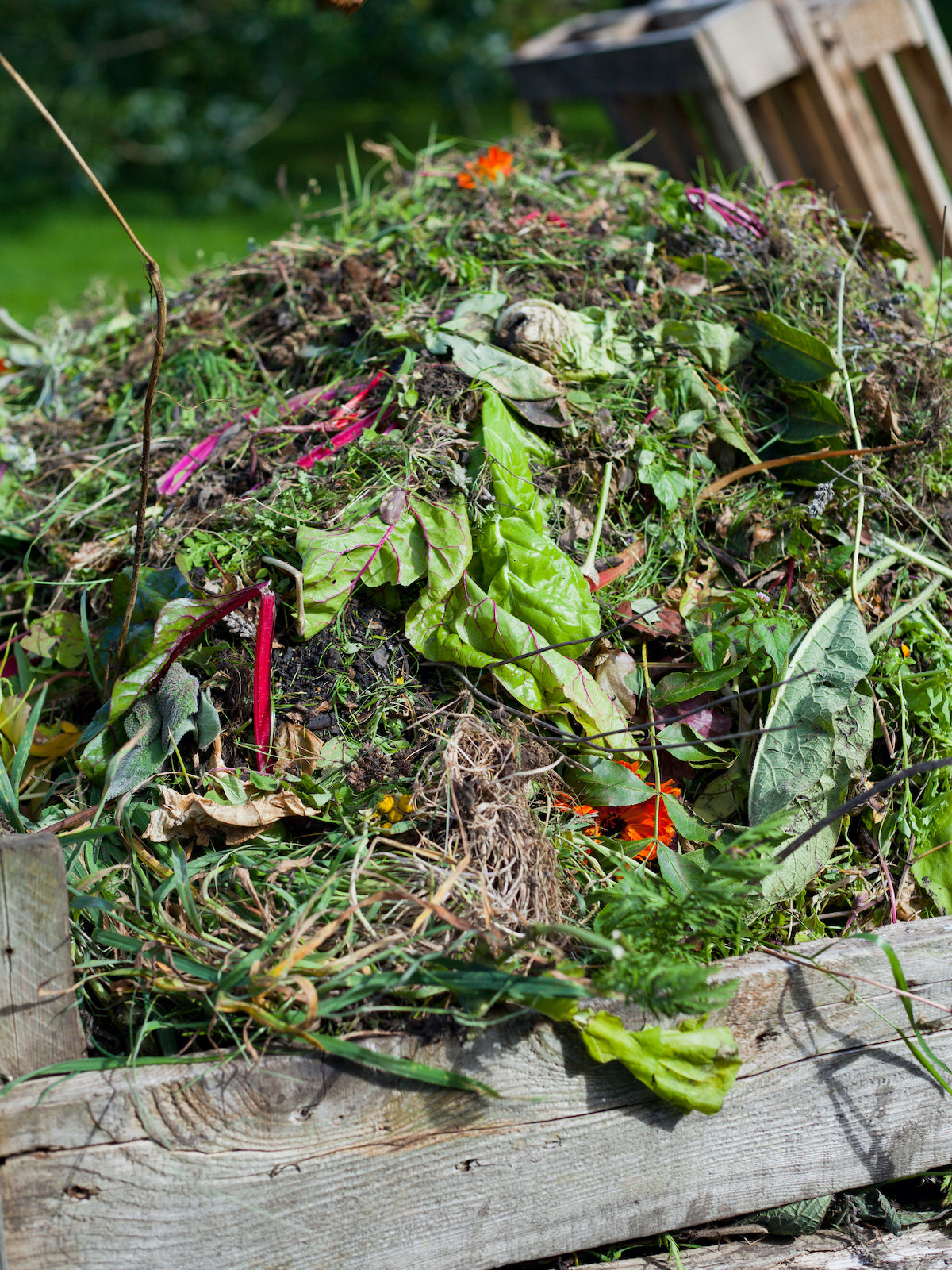 How to Easily Start Home Composting for Rich Organic Garden Soil