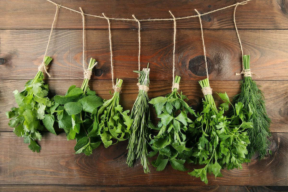 How to Preserve Herbs, Drying Garden Herb Tips