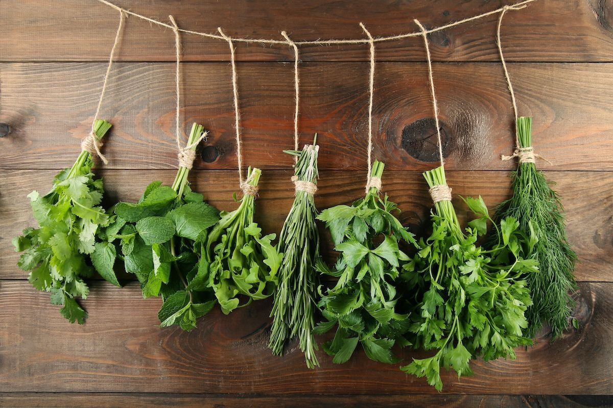 When to Use Fresh Herbs vs. Dried Herbs