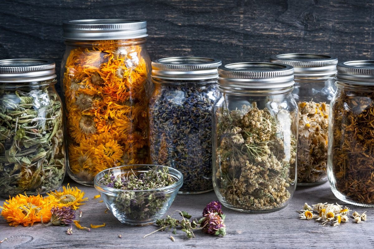 A Guide to Preserving and Storing Dried Herbs in Jars