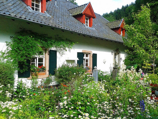 White cottage with wildfowers