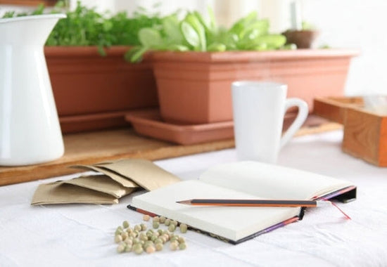 notebook with seeds