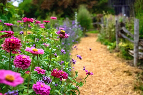 Perfectly designed flower garden lining a walk way