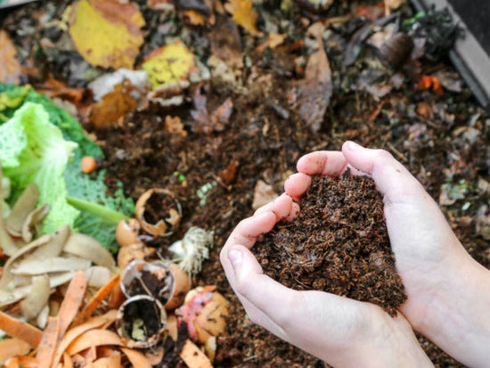 Compost and dirt in hands