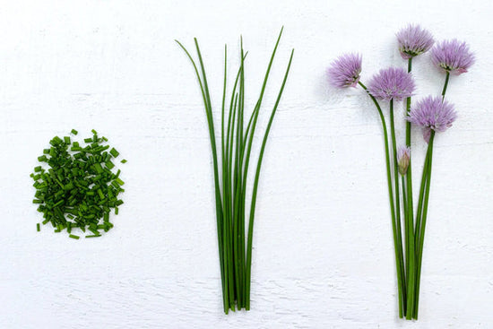 Chives, chopped, whole, and flowering