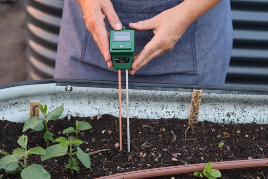 soil pH probe in garden