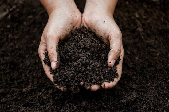 composted soil ready for garden