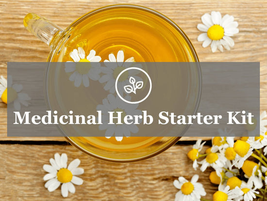 Medicinal Herb Garden Starter Kit