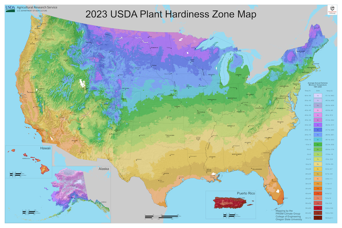 Temperate Climate Permaculture: Plant Hardiness Zones Maps for the World