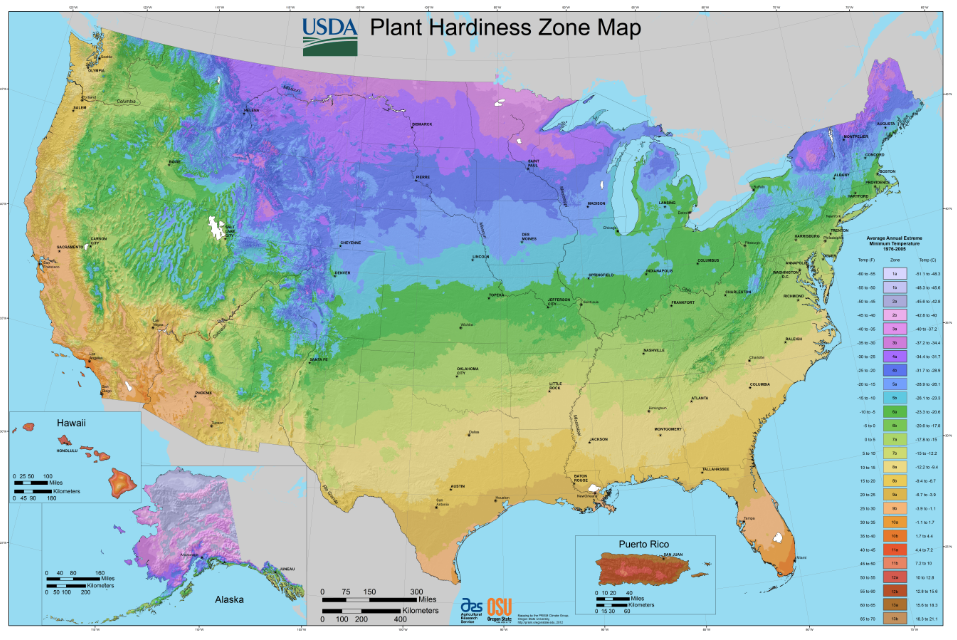 Planting Zones Guide Usda Hardiness Zone Maps Temp Zones 46 Off 3328