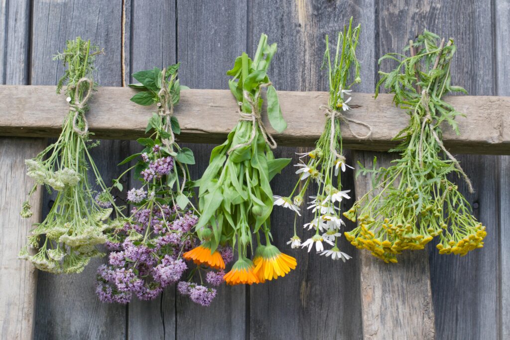 The Beauty of Dried Florals – Beet & Yarrow