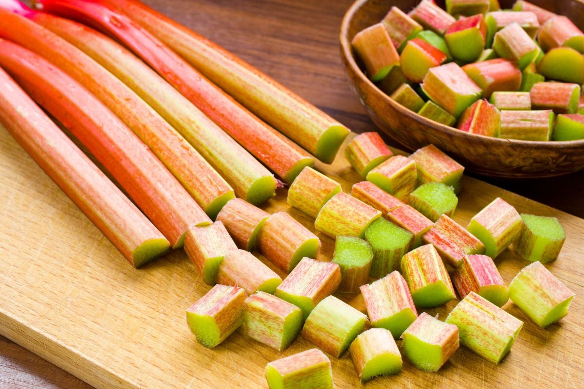 KangaRhu Rhubarb: Perennial Vegetables from Gurney's