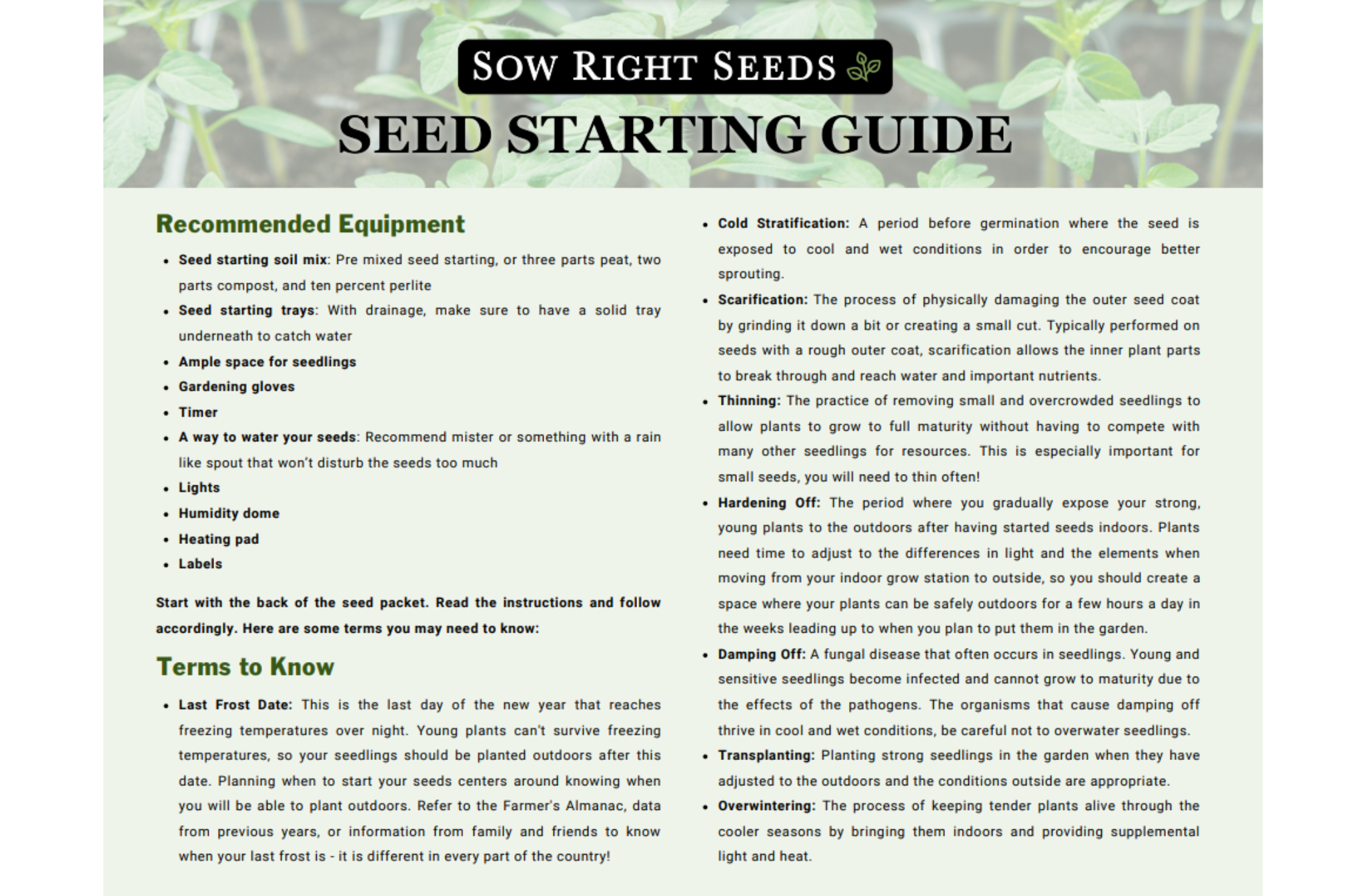 Seed Starting Guide How to Easily Start Seeds Indoors Sow Right Seeds