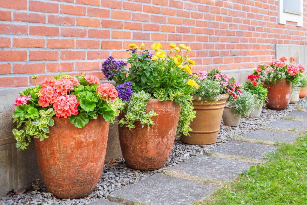 Keep Your Summer Container Garden Thriving