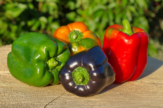 red, green, orange and purple bell peppers