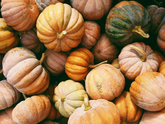 varieties of harvested pumpkins
