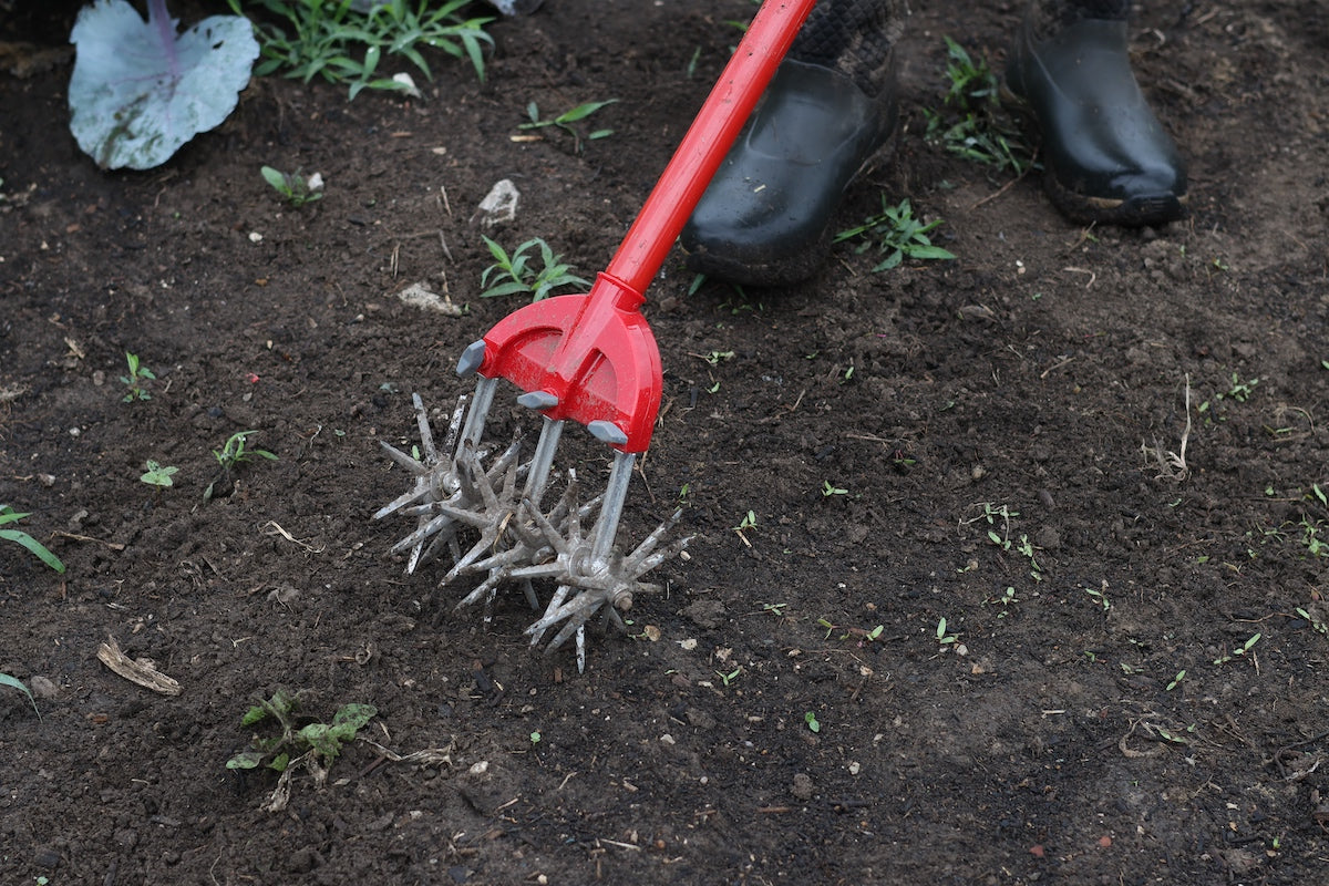 Our Top Weeding Tools for Less Effort and Better Results – Sow