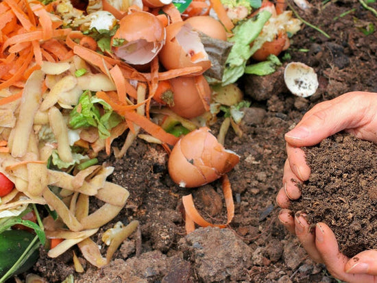 kitchen scraps for compost