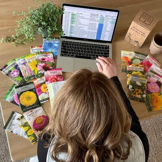 seeds computer on table