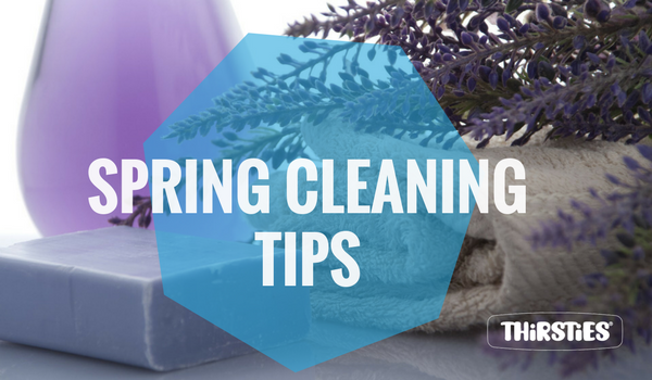 text spring cleaning tips over outdoor scene