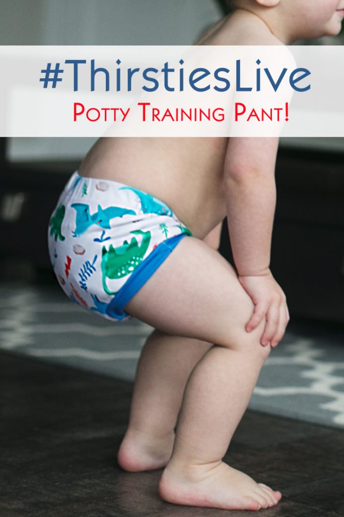 The Ins and Outs of Thirsties Potty Training Pants – Thirsties Baby