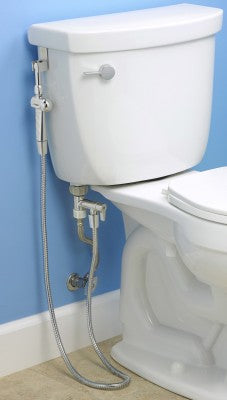 image of a toilet with a diaper sprayer