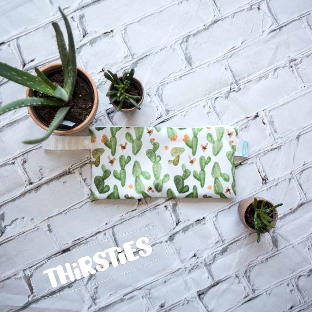 image of diaper with cactus print