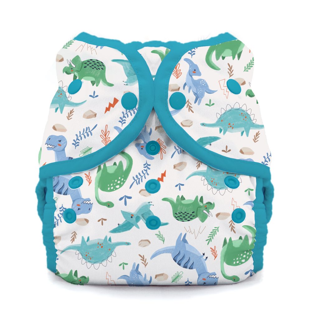 image of diaper with dinosaur print