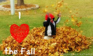 Why I Love the Fall. Thirsties Blog. Bert Anderson