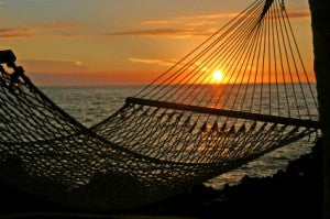 image of hammock