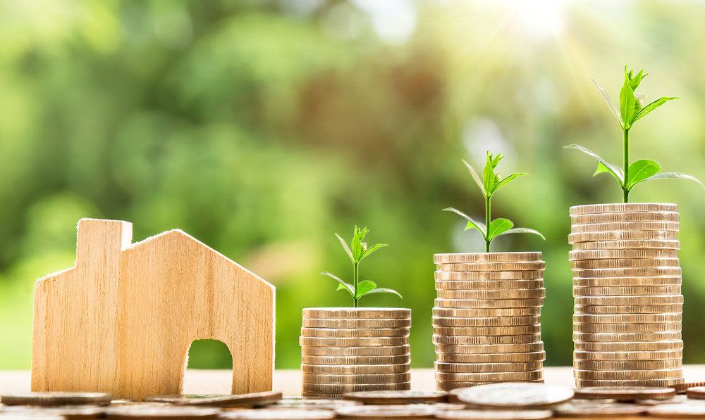 Metaphor of coins growing with plants under a bright sun