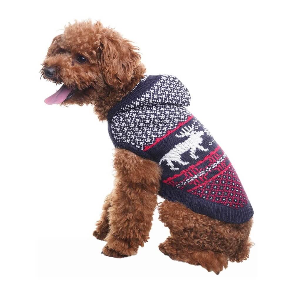 how are dog sweaters supposed to fit