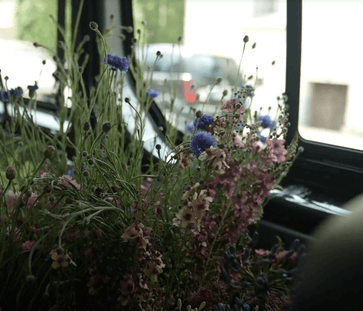 fleurs dans un camion