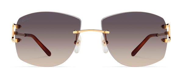 Cartier | CT0008RS | Visionist