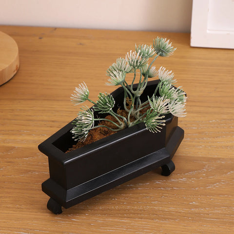 coffin planter pot