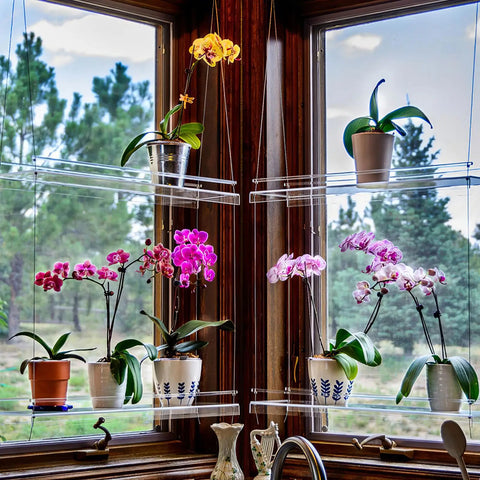 plant shelf for windows