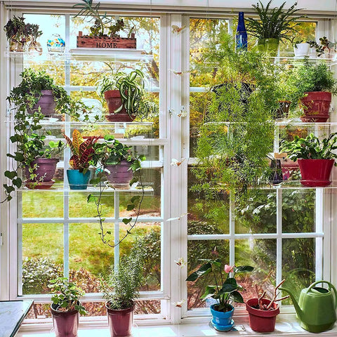 plant shelf for windows