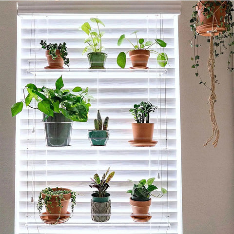 plant shelf for windows