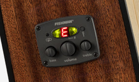 FISHMAN® PREAMP AND TUNER