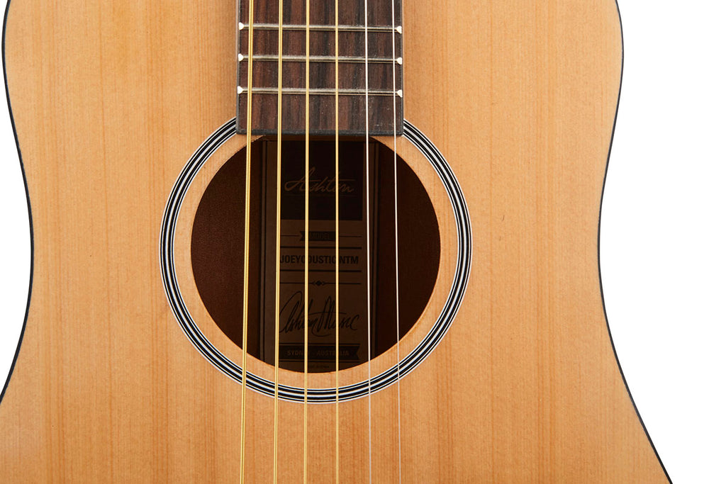 icarus duolian resonator guitar