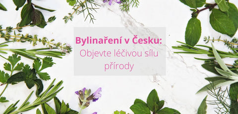 Bylinaření v Česku