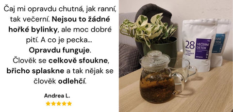 Recenze Detoxito