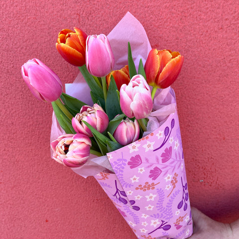 colourful tulips