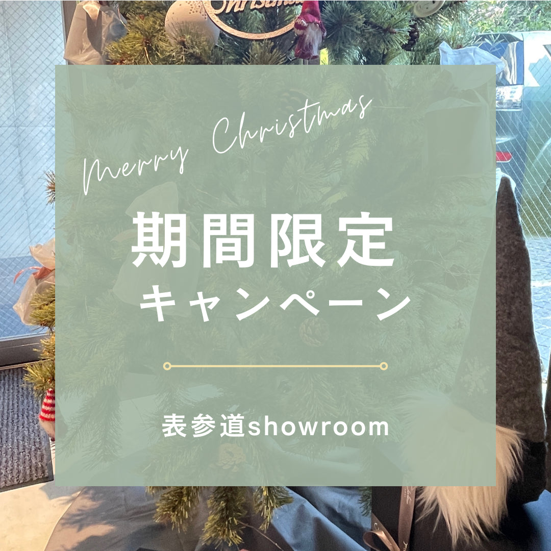 育てるタオルshowroom 期間限定キャンペーンのお知らせ。