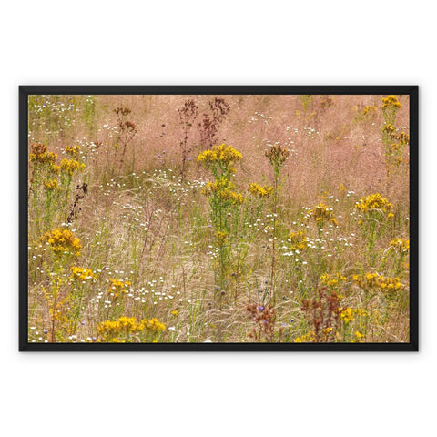 Farbfoto – Wildwiese 2 Framed Canvas