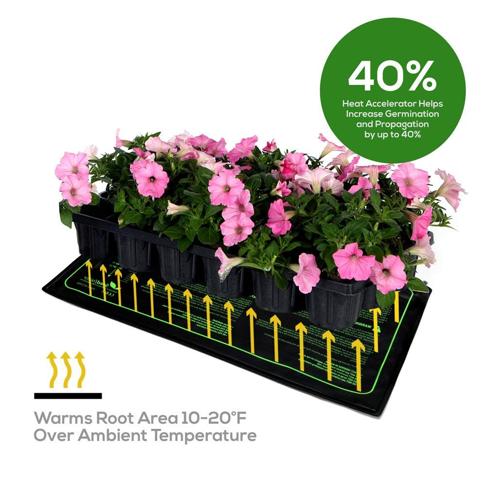 PROPAGATION DES BOUTURES AVEC LES TAPIS CHAUFFANTS EH-POWERGROUND - Cofilea  %