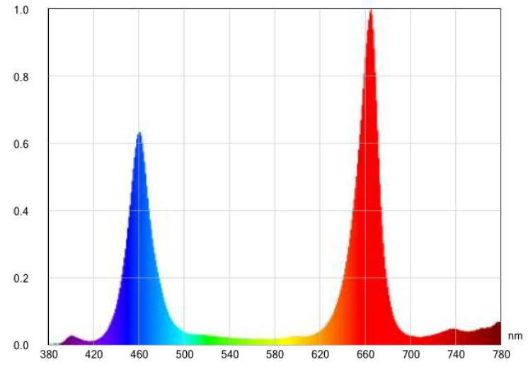 Spectrum Output